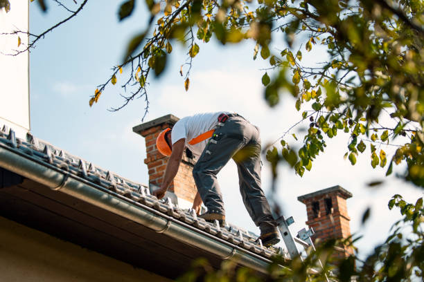 Quick and Trustworthy Emergency Roof Repair Services in Rose Hill, NC